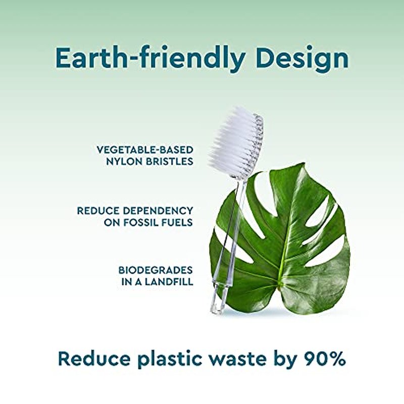 RADIUS Toothbrush Replacement Brush Heads 2-Count Improve Gum Health & Reduce Gum Issues - Medium - Pack of 6