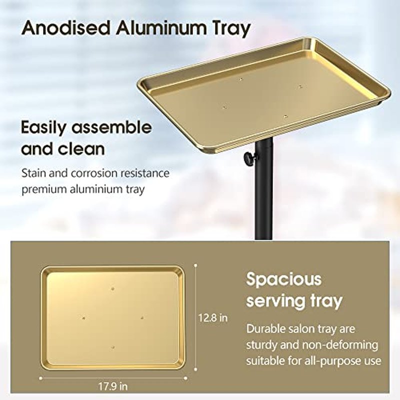 Salon Tray Tattoo Tray Salon Cart for Hair Stylist Salon Trolley Cart with Wheels Salon Rolling Tray Salon Stations Gold Color Tray