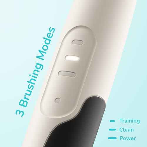 ORDO Squishmallows Electric Toothbrush, Sonic Toothbrushes for Kids, Rechargeable, 3 Brushing Modes, Over 5 Weeks Battery Life Extra Brush Head Included, Gift for Kids Aged 4 Years and Up, Cam