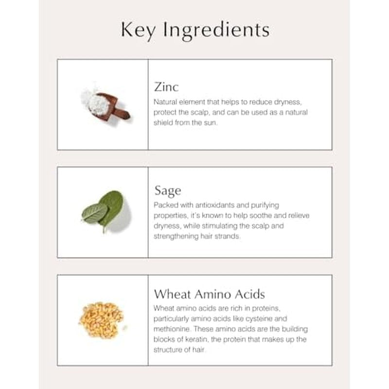 John Masters Organics Scalp Conditioning Shampoo 16 oz |70%+ Organic Ingredients |Anti-Dandruff | Dry Scalp