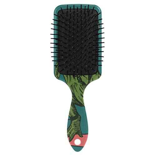 Dinosaur Detangler, Wet Dry Hair Brush for Kids, Men & Women - Plastic Handle