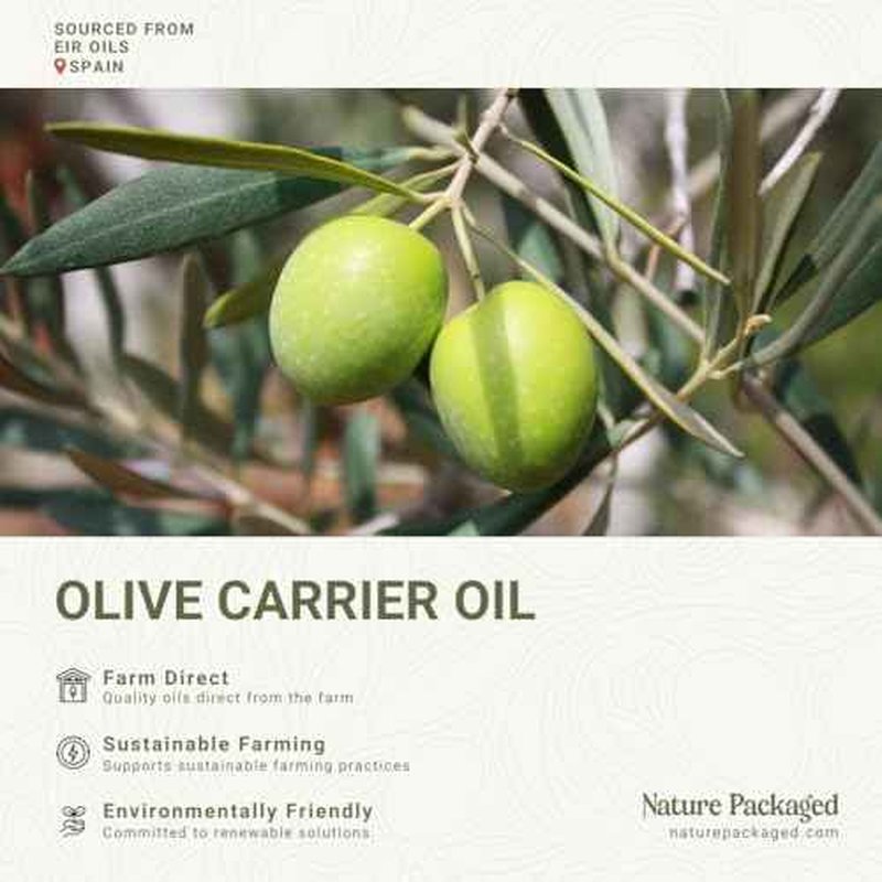 Olive Oil - 100% Pure Cold Pressed Natural Olive Oil (Aceite de Oliva) for Essential Oils Dilution, Massage & Skincare - Premium Grade (16oz)
