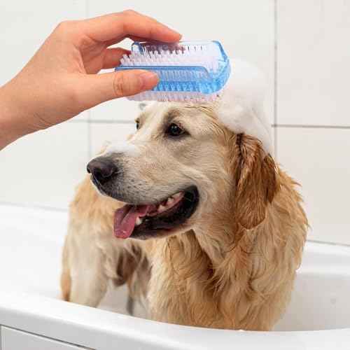 4 Pcs Nail brush Two Sided,Nail brush for cleaning fingernails Men Women,Nail brushes for Toes,Easy use fingernail brush,Nail scrubber brush for Travel,Nail cleaning brush kids