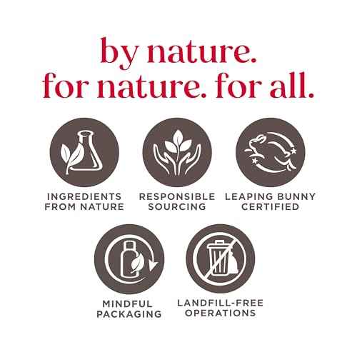 Burt's Bees Lip Balm, Squeezy Tinted Balm and Hand Cream Gift Set, Merry Melon, Ready to Give Holiday Gift, 1 Gift Set