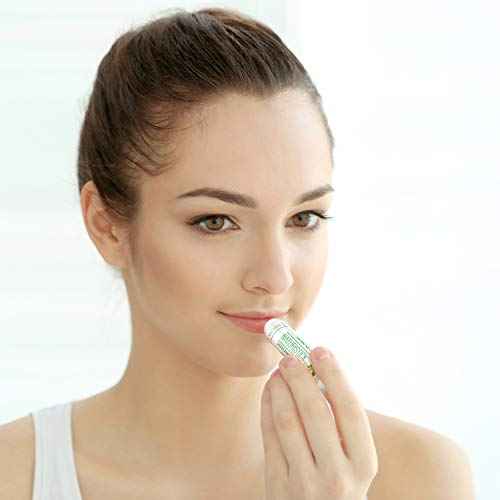 Naturistick Premium Beeswax Lip Balm for Dry, Chapped Lips | 100% Natural Lip Care | Coconut Oil, Shea Butter, Aloe Vera | Moisturizing, Chemical-Free Chapstick | 16 Pack Assorted Scents | Made in USA