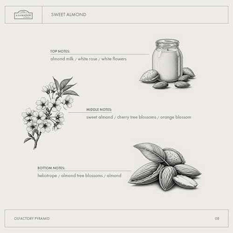 A LA MAISON Sweet Almond Natural Hand Wash Made with Essential Oils - Biodegradable, Plant-Based, Vegan, Cruelty-Free (33.8 Fl Oz Refill, 1 Pack)
