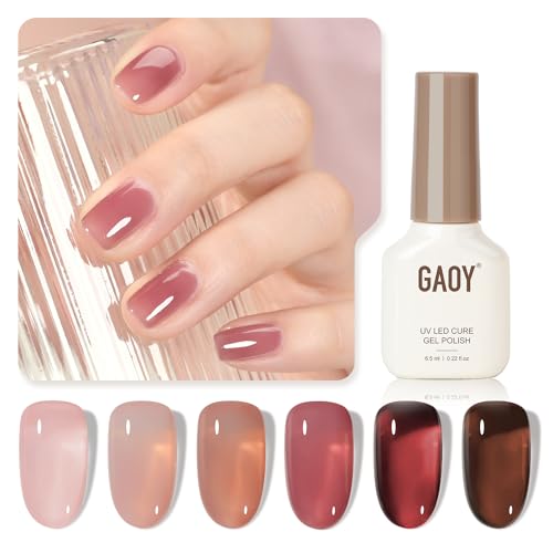 GAOY Rose Garden Jelly Gel Nail Polish of 6 Transparent Nude Red Pink Brown Colors Sheer Gel Polish Kit for Salon Manicure and Nail Art DIY at Home