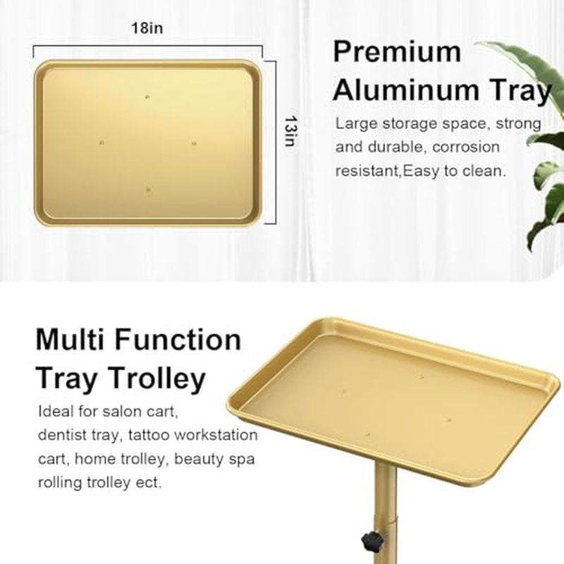 Salon Tray Cart Premium Aluminum Tattoo Tray, Champagne Gold Salon Rolling Tray, Height Adjustable Utility Trolley, Salon Tray on Wheels for Spa Hairstylist Clinic Dental
