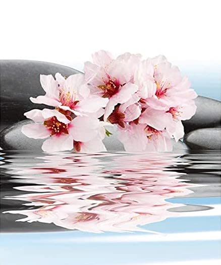 Lily Perfume Essence - Alcohol-Free Vegan Fragrance Oil | TSA Ready, Paraben & Phthalate Free
