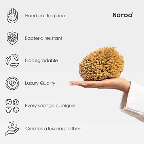 Naroa Soft Natural Sea Sponge | Gentle Loofah for Bathing Smooth Skin | Unbleached Shower Body Scrubber Puff | Bath & Spa (Medium)