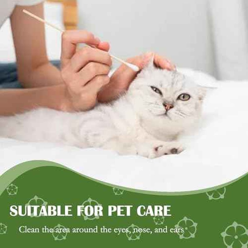 6 inch Long Cotton Swabs in Storage Box 500PCS,Bamboo Sticks & Highly Absorbent Tipped Applicators for Makeup, Gun Cleaning, Pet Care
