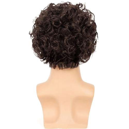 Mens Brown Curly Wig Short Fluffy Rocker Wigs Synthetic Costume Halloween Cosplay Hair Wigs for Male Guys