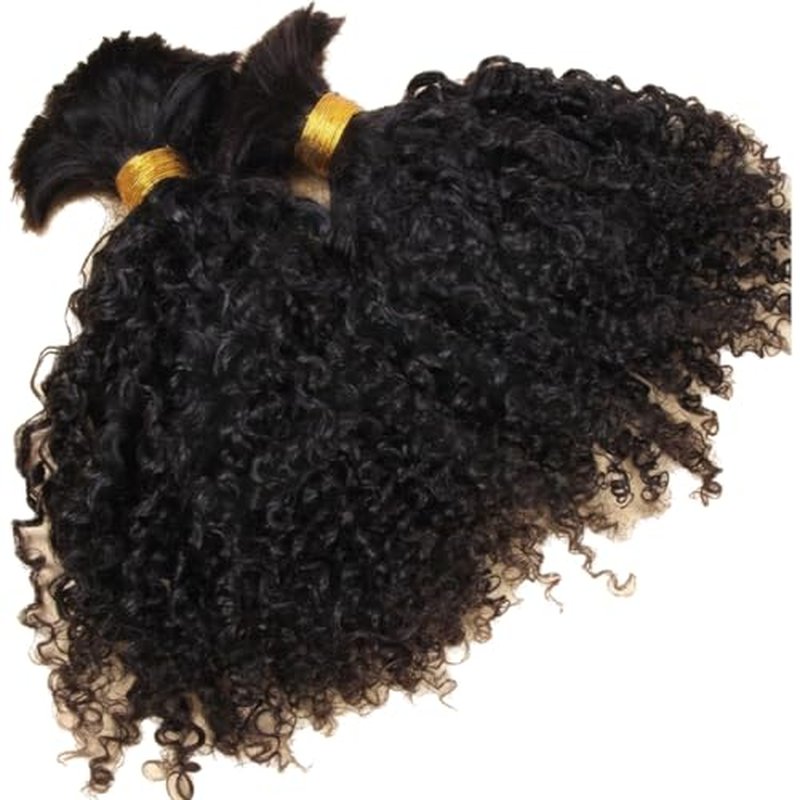 Afro Kinky Bulk Human Braiding Hair 100% Unprocessed Brazilian Virgin Human Hair Extensions Micro Kinky Curly Braids Hair Braids Double Drown Full End Bulk Hair 14 Inch 100g (Pack of 1)