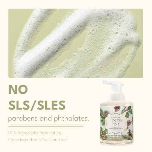 ROMIIE ZOI Christmas Foaming Hand Soap with Gift Box- Winter Pine, Infused with Sweet Pine- 500ml/ 16.8oz