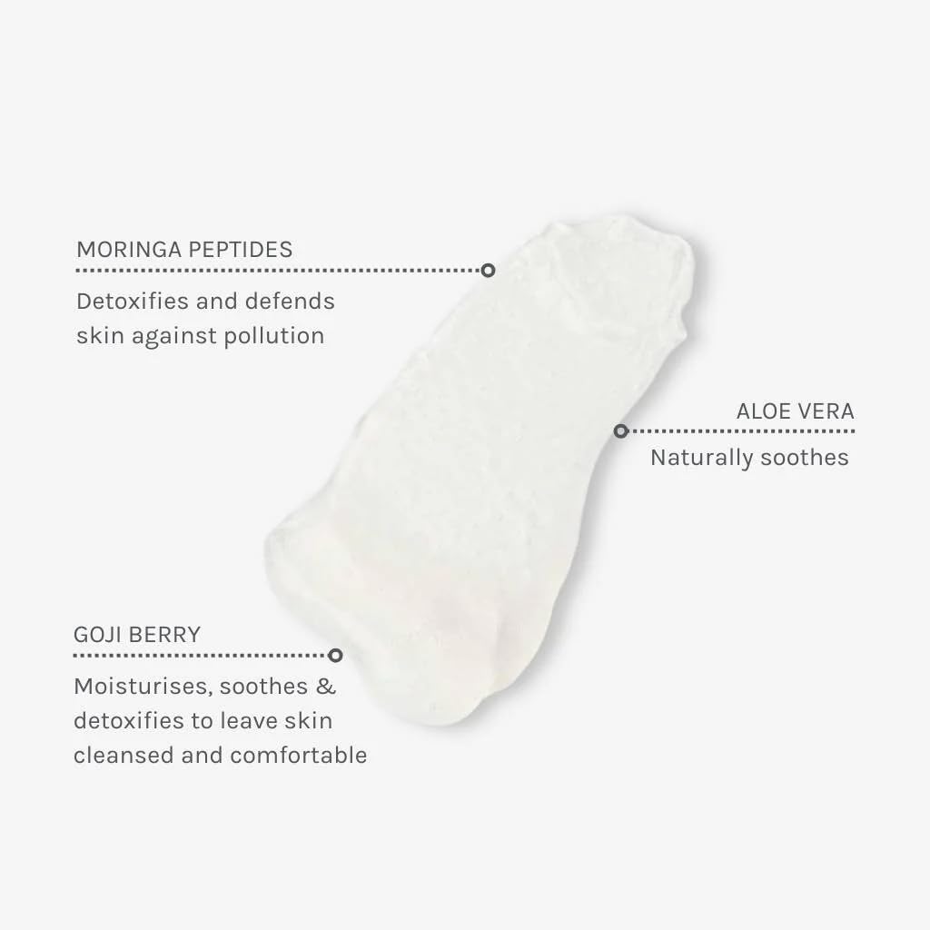 Evolve Organic Beauty - Natural Daily Detox Facial Wash | Small-Batch, Vegan Clean Beauty (Full Size, 3.4 fl oz | 100 ml) Packaging May Vary