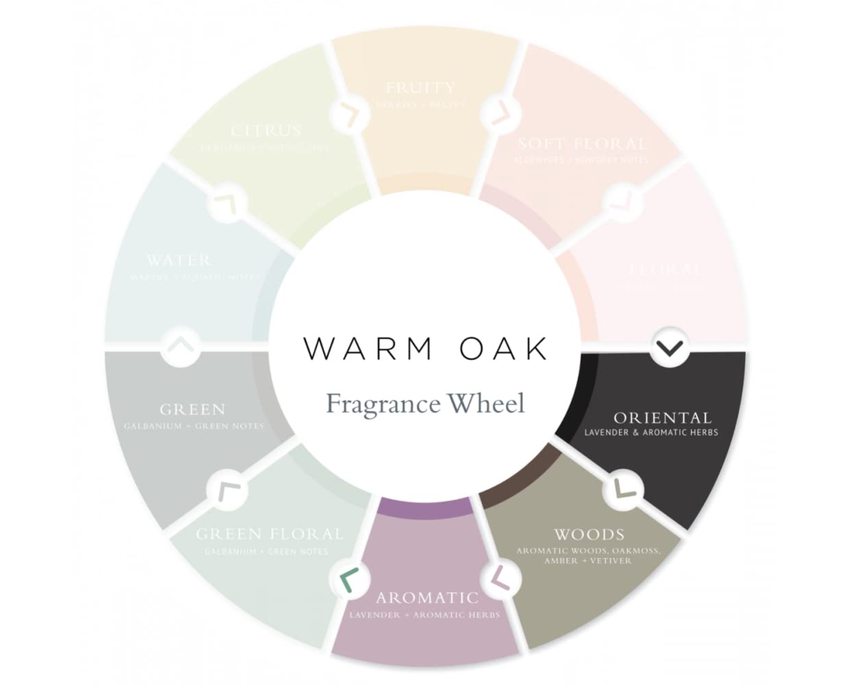 Gilchrist & Soames Warm Oak Shampoo - 9oz | Strengthens All Hair Types, Paraben & Sulfate Free