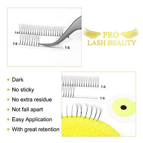 3D Volume Eyelash Extensions - Premade Fans | C & D Curl Mix, 0.07mm Thickness, 9-16mm Length