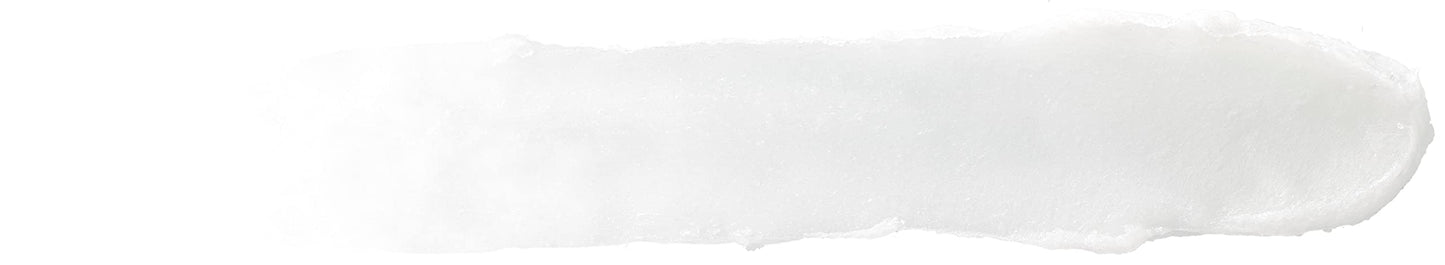 Burt's Bees Medicated Lip Balm, With Eucalyptus Oil and Menthol, Tint-Free, Natural Origin Lip Care, 4 Tubes, 0.15 oz.