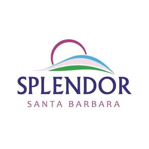 Sandalwood Noir Bar Soap- Natural Bar Soap for Face and Body, Unisex Scent, Handmade, Vegan, Natural, Cold Process Soap.