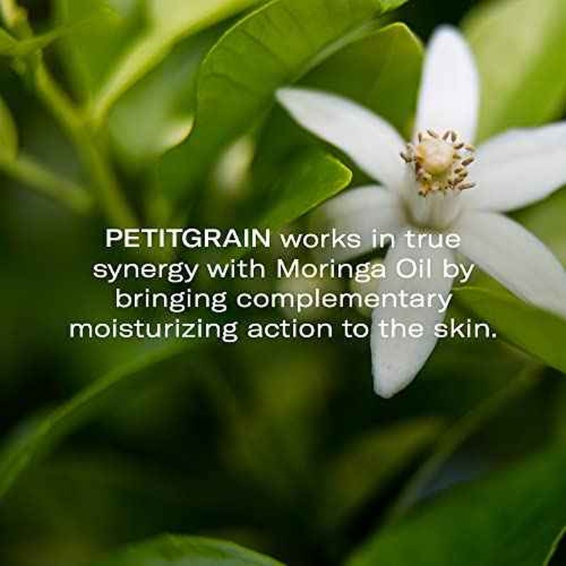 Odacit? Hydrating Serum Concentrate with Moringa + Petitgrain - Serum for Very Dry Skin - Face Oil Concentrate for Moisturizing & Hydrating Dry Skin or Chapped & Cracked Skin - 0.17 fl. Oz