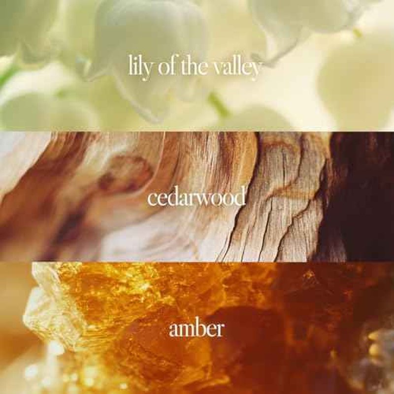 Noteworthy n,551 Amber Sunset Eau De Parfum ? Lily of the Valley, Amber, Sandalwood | Sophisticated, Warm Fragrance for Any Occasion | Long-lasting Unisex Perfume for Women & Men (100ml)