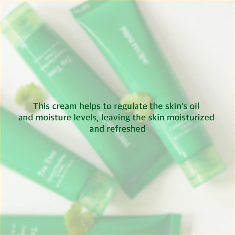 Papa Recipe Tea Tree Control Soothing Cream(3.38fl oz/100ml) - Soothing & Hydrating Face Moisturizer Cream for Dry Skin, Oil Water Balance Care, Sensitive, Acne-Prone Skin Friendly, Korean Face Cream