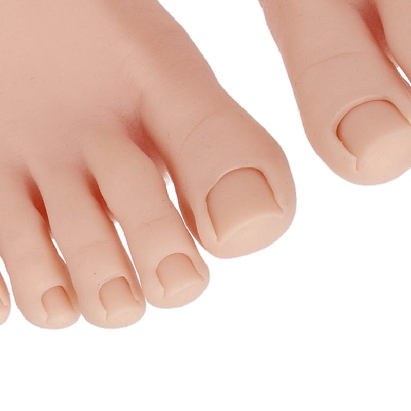 Practice Fake Foot, 1 Pair Flexible Soft Silicone Half Foot Model, Prosthetic Practice Manicure Tool, Feet Model for Nails Tips Art Training Display, Practice, Art Sketch (Middle