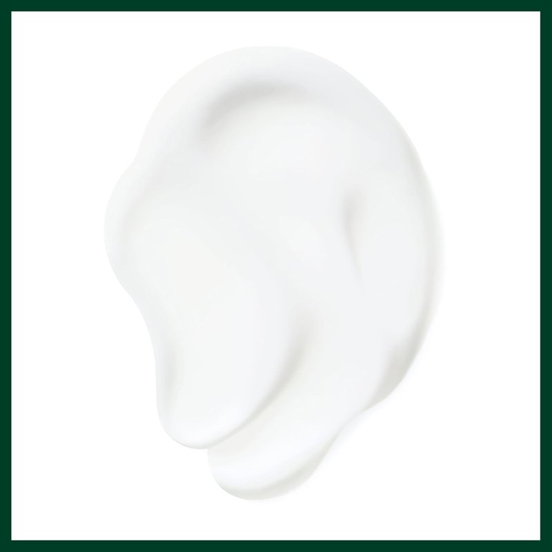 Aveda Nutriplenish Daily Moisturizing Treatment - Leave-In for Medium to Thick Dry Hair | Organic Pomegranate Oil & Coconut Oil