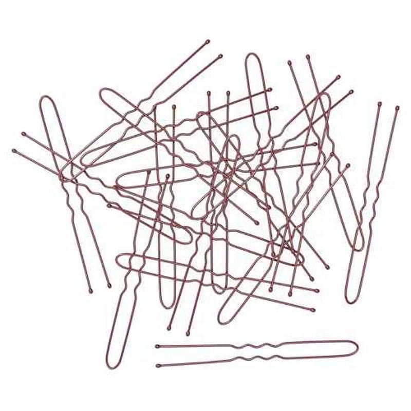 2.8 Inch U Shaped Hair Pins for Women Girls, Long Hair Pin Bobby Pin for Secure Bun Hairstyles, 100 Count (Brown)