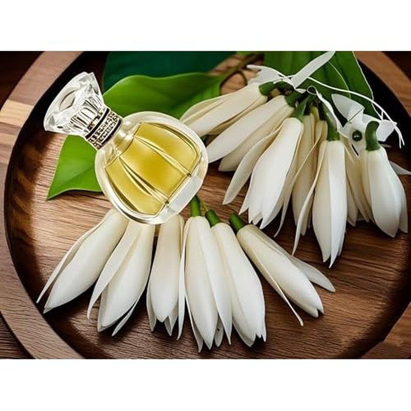 Eau de Parfum Spray for Women Eau Fraiche Eau de Toilette Perfumery Natural Floral Fragrance with Pure Long Lasting Elegant Refreshing Sweet Scent and Light Flavor 1.7 Ounce 50ml (Michelia Alba)