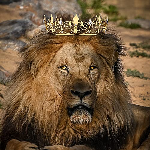 AOPRIE King & Queen Artemis Tiara and Crown for Women Men Crystal Hair Accessories for Wedding Prom Bridal Birthday Party Halloween Costume Christmas Gifts Gold Princess Tiara for Girls Boys