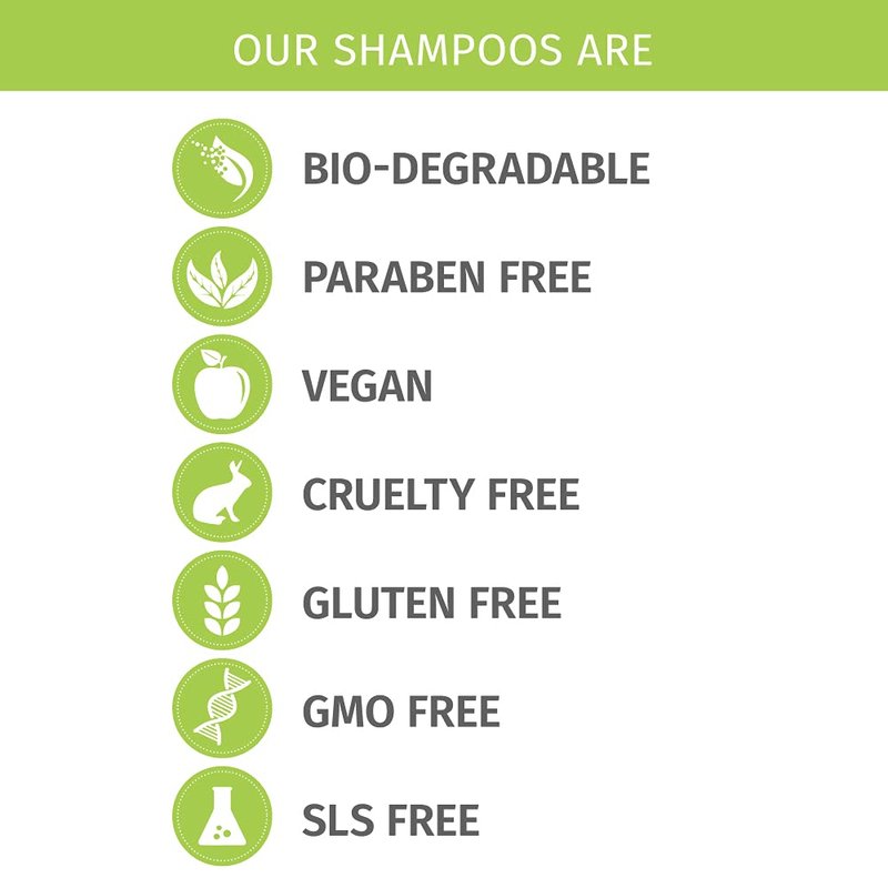 Phillip Adam Fragrance-Free Shampoo - Sulfate & Paraben Free | pH Balanced for All Hair Types - 33.8 oz