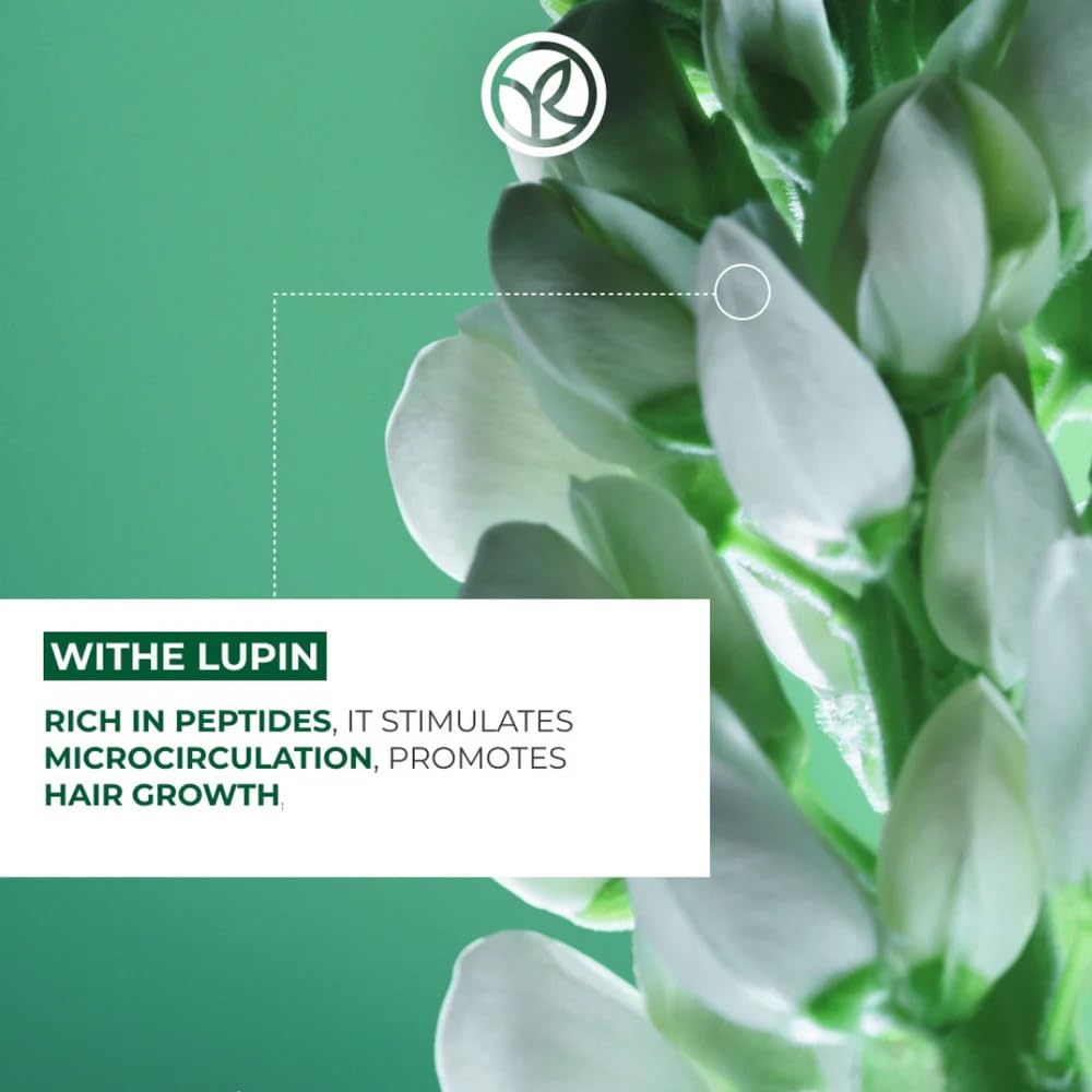 Fortifying Shampoo - Volumizing & Thickening Formula for Thinning Hair | Scalp Care with Botanical Ingredients, 300 ml