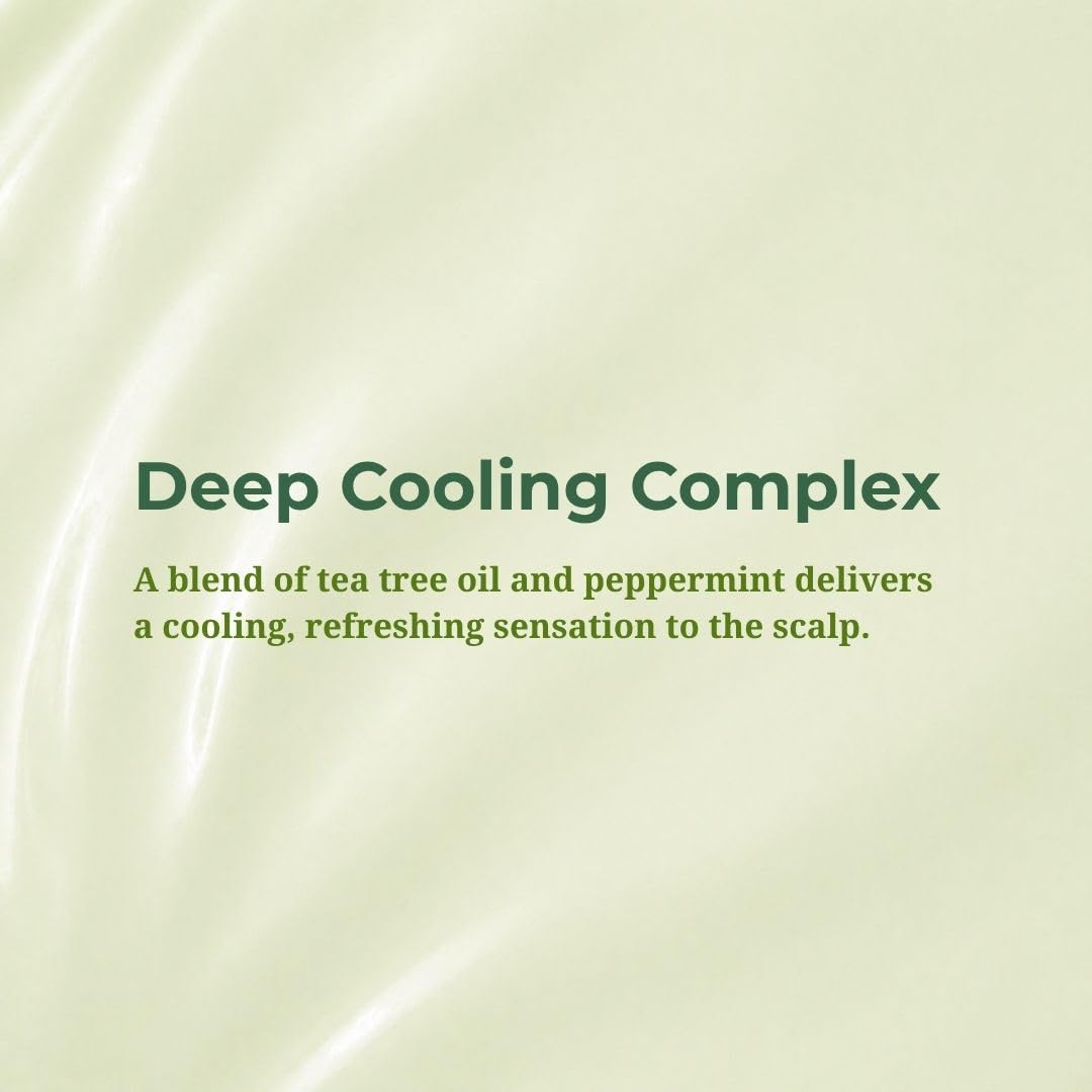 Daeng Gi Meo Ri Tea Tree Cool Shampoo | Cooling Scalp Care with Tea Tree & Aloe Vera | Refreshes Oily Hair, Hydrates Dry Hair, Gentle Cleansing | 1000ml