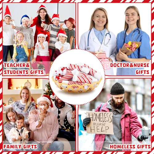25 Pcs Christmas Candy Flavor Lip Balms Bulk Holiday Peppermint Candy Flavor Lip Balms Christmas Party Gifts Stocking Stuffers Bulk Thank You Gifts for Employee Staff Coworkers Teacher