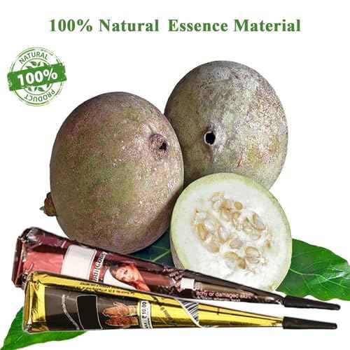 Temporary Tattoo kit£¬4Pcs Tattoo Cones,100% Natural Ready to Use Black Tattoo Paste, India Body DIY Art Painting for Women Men Kids with 20 Adhesive Stencils, 1 Bottle, 4Nozzles