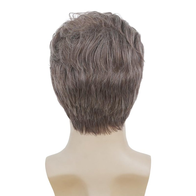 Salaibs Mens Grey Short Wig Natural Synthetic Heat Resistant Wig for Daily Party Use (Brown Mix Grey)