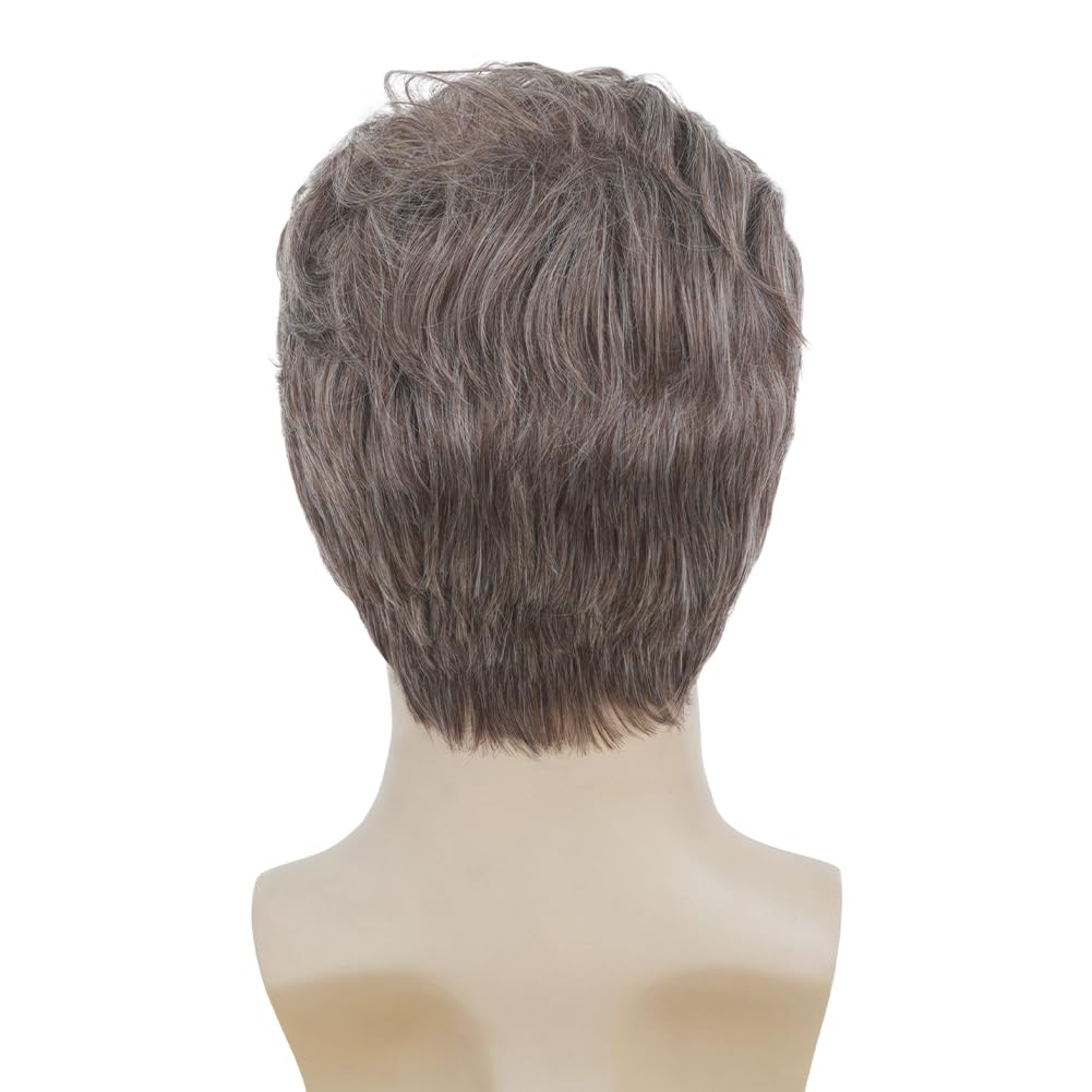 Salaibs Mens Grey Short Wig Natural Synthetic Heat Resistant Wig for Daily Party Use (Brown Mix Grey)