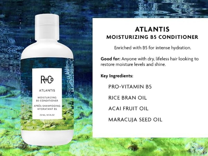 R+Co Atlantis B5 Shampoo & Conditioner Set - Deep Hydration for Dry, Damaged Hair | Vegan & Sulfate-Free, 8.5oz 2PK