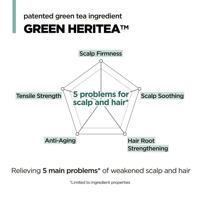 Green Tea Shampoo for Thinning Hair - Moisturizing Formula for Dry Scalp | 16.9 fl. oz.