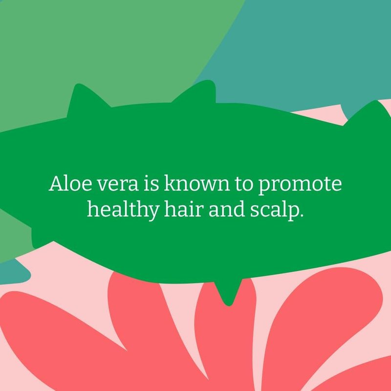 Aloe Vera Shampoo - Rejuvenating Formula for Normal to Dry Hair | 400ml Bottle