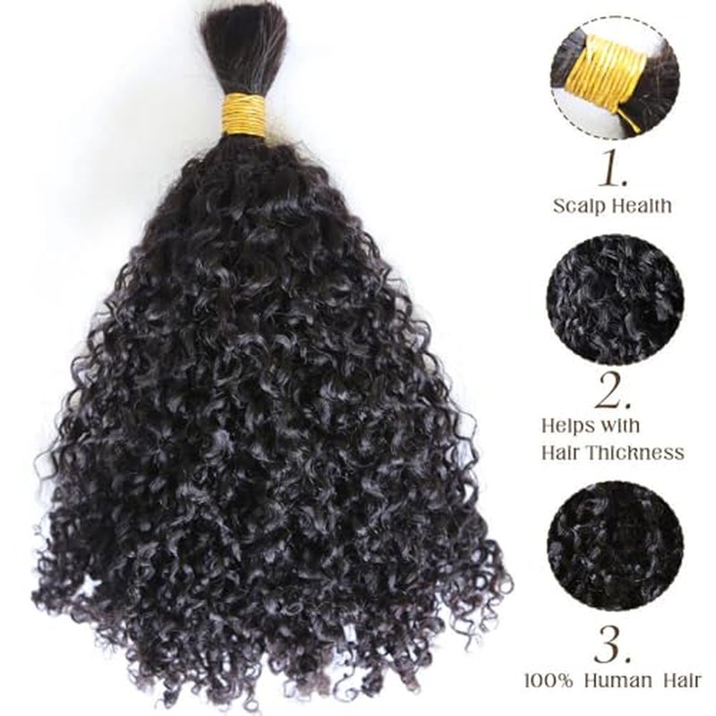 Afro Kinky Bulk Human Braiding Hair 100% Unprocessed Brazilian Virgin Human Hair Extensions Micro Kinky Curly Braids Hair Braids Double Drown Full End Bulk Hair 14 Inch 100g (Pack of 1)