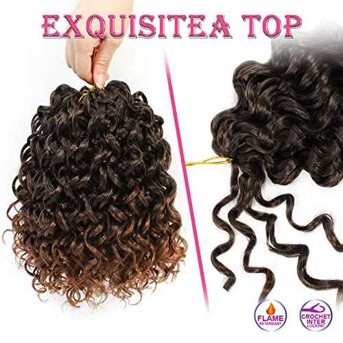 Gogo Curl Crochet Hair 8 Inch Short Curly Crochet Hair for Black Women Beach Curl Crochet hair - Water Wave Curly Crochet Braids Hair Deep Wave Synthetic Braiding Hair Extensions (8 inch T30)