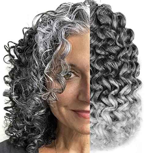 Silke Grey Curly Gogo Curl Ocean Wave Crochet Braids Hair 6 Pack Water Wave Hair Extensions For Women(10inch,Tgrey)