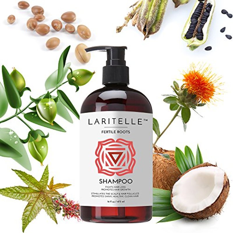 Laritelle Organic Shampoo Fertile Roots 17.5 oz ? Fights Hair Loss & Promotes Healthy New Growth with Lavender, Ginger, Rosemary, Patchouli, Clary Sage ? Strengthens, Nourishes & Balances Scalp