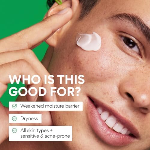 Innisfree Green Tea Seed Hyaluronic Acid Cream - Hydrating Korean Face Moisturizer with Ceramide | Jumbo Size Available