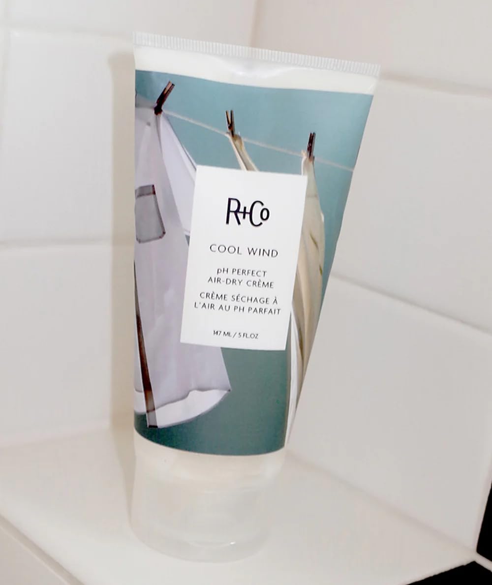 R+Co Cool Wind pH Perfect Air Dry Crème (5 Oz) + Bonus Deluxe Sample(.5 Oz) | Hydrates + Tames + Softens | Vegan + Cruelty-Free