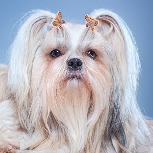 Fishdown 30 Pcs Glitter Hair Ties for Girls Sequin Hair Ties for Toddlers Seamless Small Ponytail Holders Rhinestone Sequin Sparkle Flower Butterfly cartoon Elastic Rubber Bands for Kids