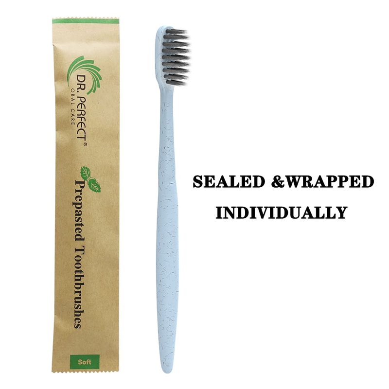 DR PERFECT Prepasted Wheat Charcoal Toothbrush Individually Wrapped with Sealed Paper Bag Pack of 144 (144)
