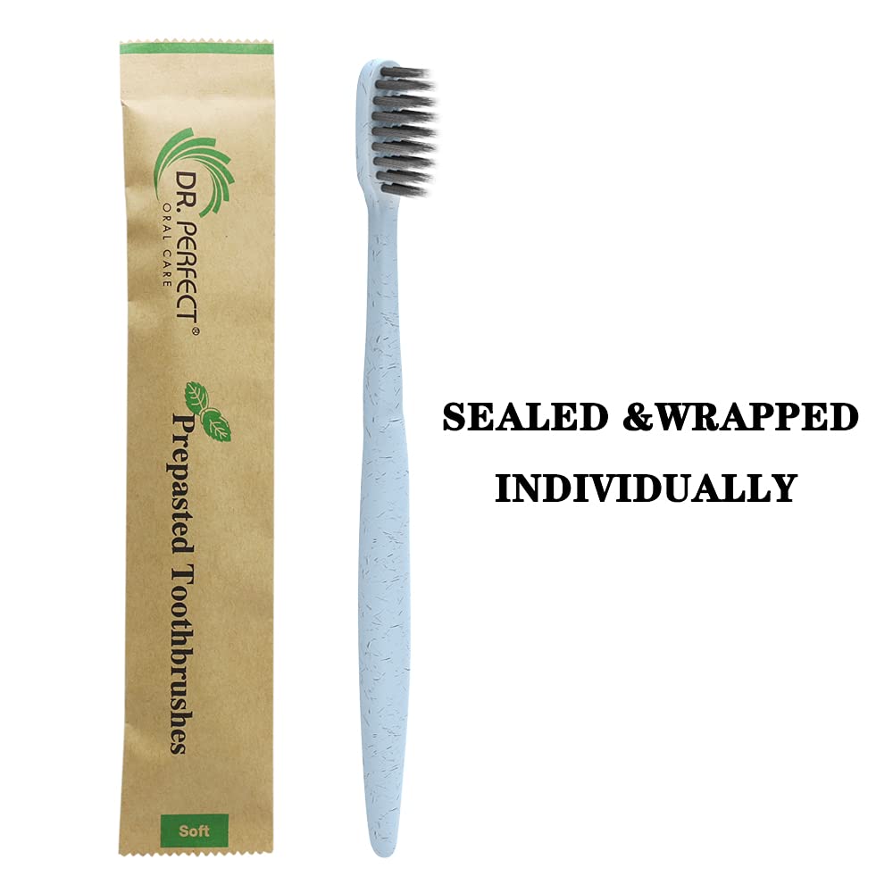 DR PERFECT Prepasted Wheat Charcoal Toothbrush Individually Wrapped with Sealed Paper Bag Pack of 144 (144)
